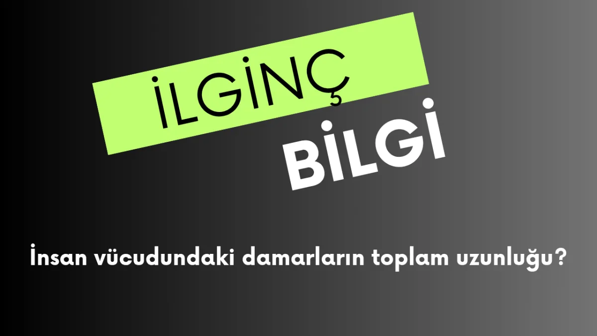 İnsan vücudundaki damarların toplam uzunluğu ne kadar?