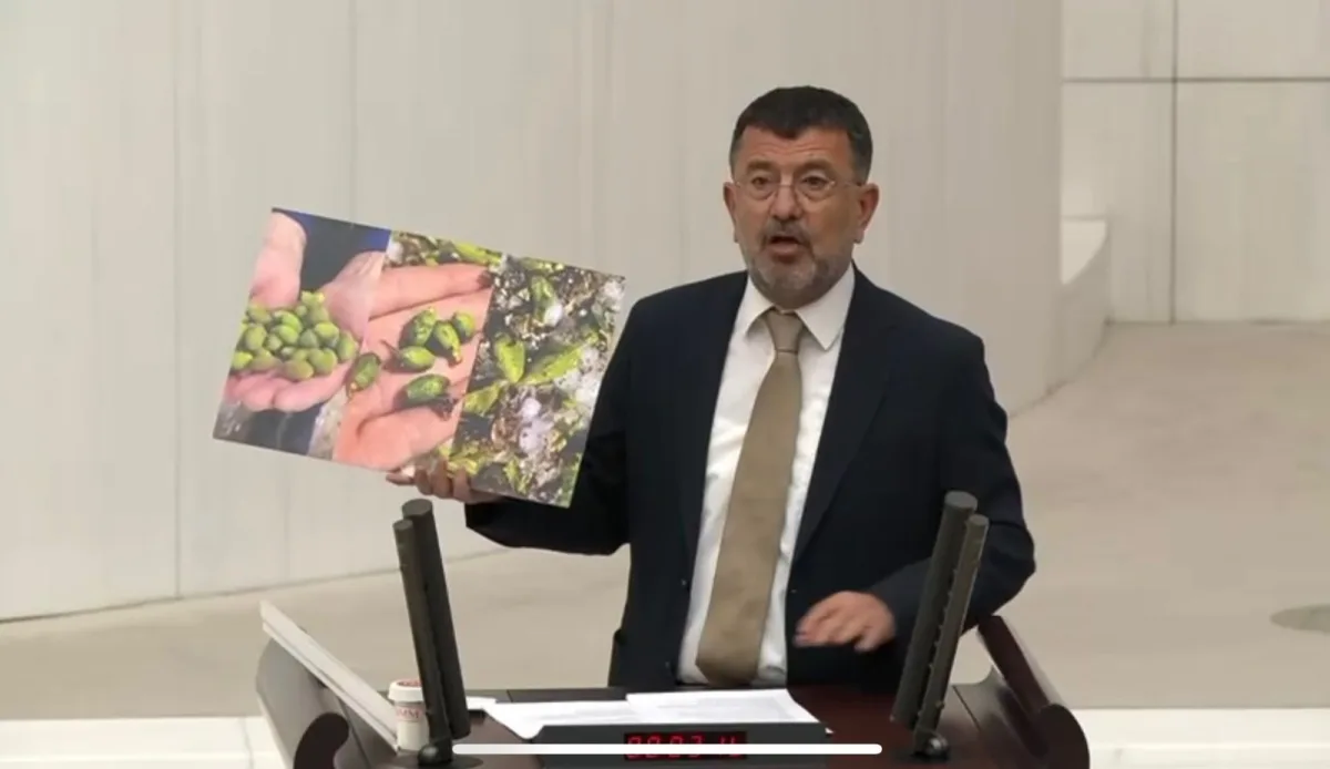 AĞBABA:“Ben dünyanın en güzel kentinin milletvekiliyim”